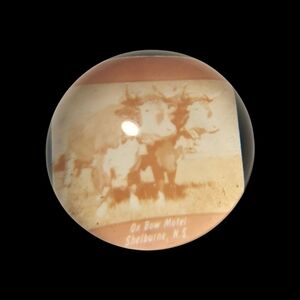 Vintage Ox Bow Motel Art Sphere Paperweight 1950's-1960's Nova Scotia